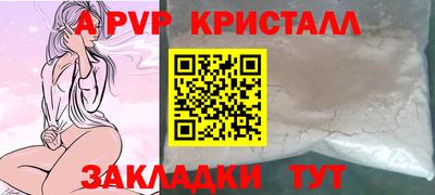 дмт Кингисепп