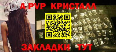 дмт Кингисепп