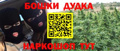 дмт Кингисепп