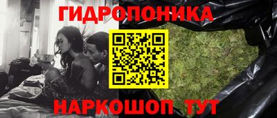 дмт Кингисепп