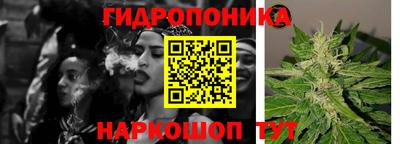 mdpv Кимры