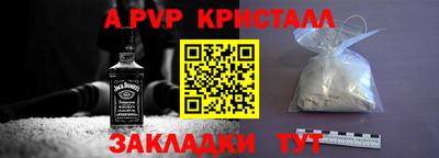 дмт Кингисепп