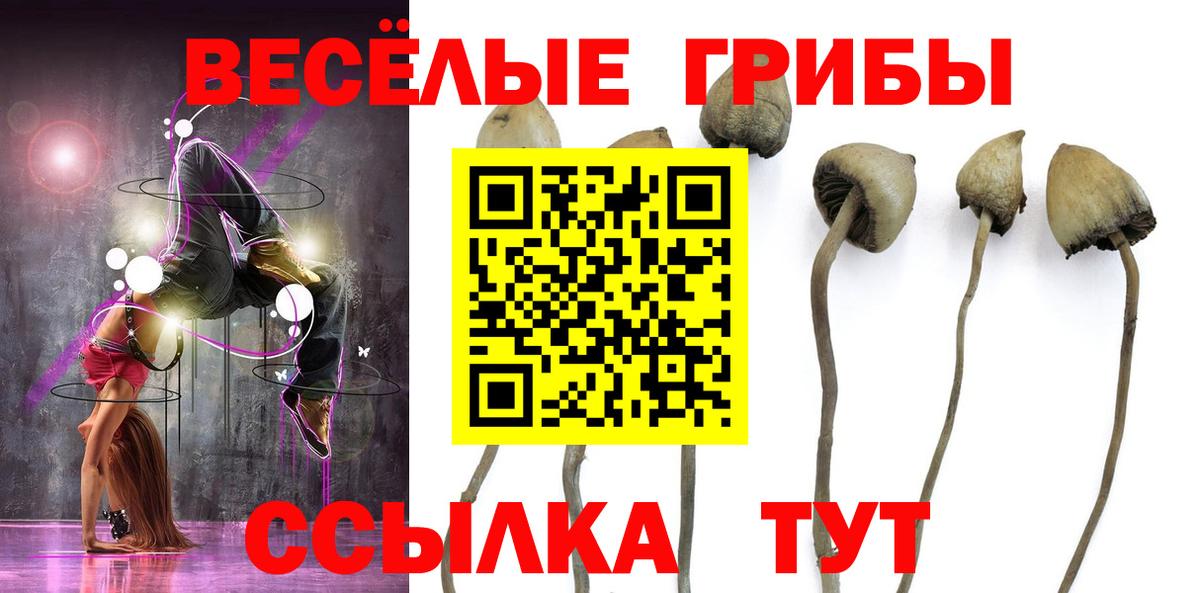 Псилоцибиновые грибы MAGIC MUSHROOMS  Вход с VPN  Галлюциногенные грибы прущие грибы  Красный Сулин 